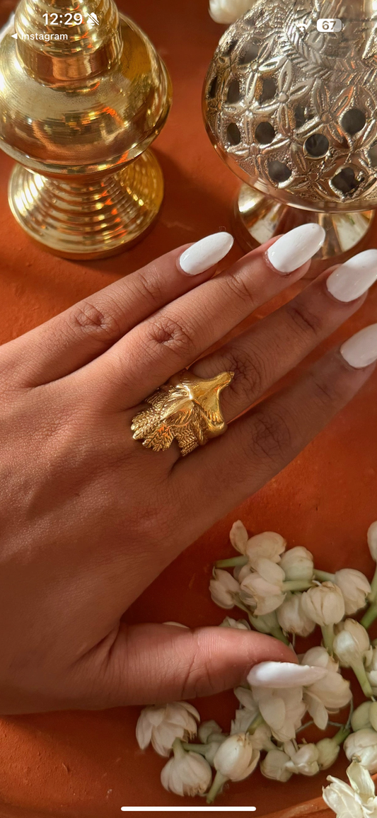 Wings of Wisdom Combo