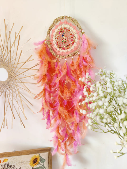 Bohome Chic Dreamcatcher