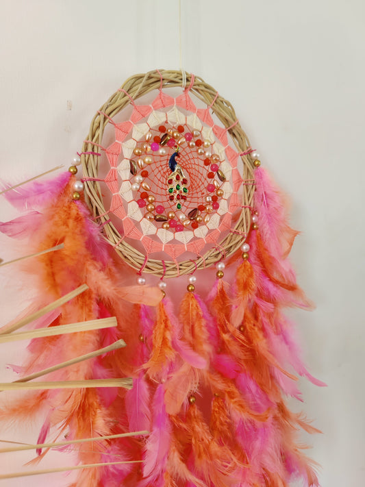 Bohome Chic Dreamcatcher