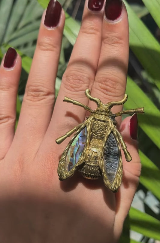The Abalone Beetle Statement Ring