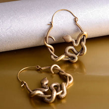 Load image into Gallery viewer, Celtic Snake Earrings
