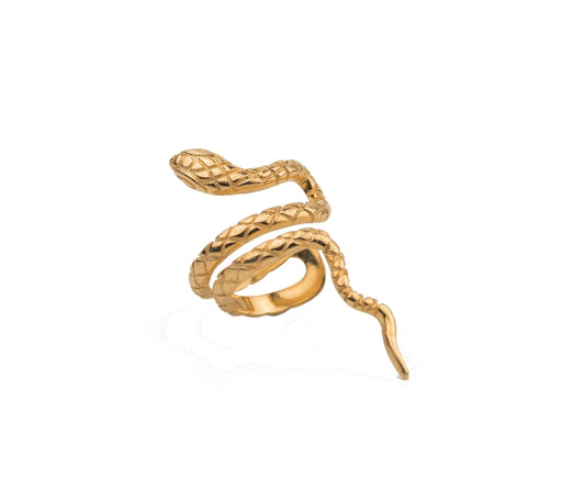 Dainty Snake Ear Cuff