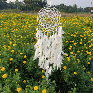 White Love Dreamcatcher