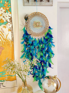 Never Stop Dreaming Peacock Dreamcatcher