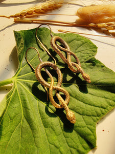 Serpent Coil Earrings