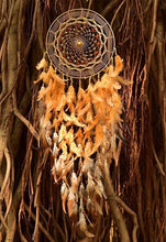 Load image into Gallery viewer, Golden Grace Dreamcatcher
