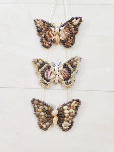 Butterfly Family